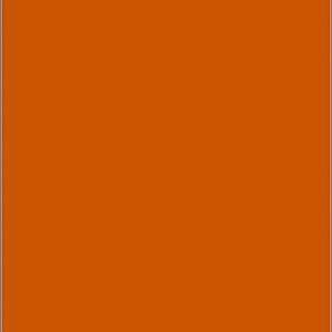 Meet your Posher, Nina